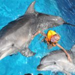 Плаванье с дельфинами