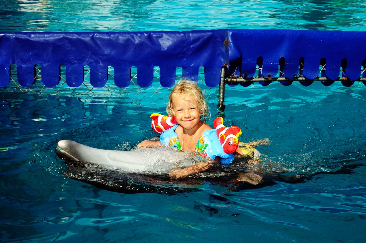 Дельфинарий Оскар в Генгорке